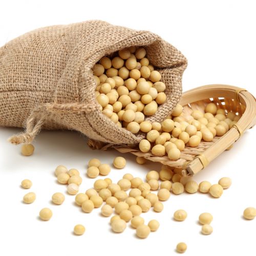 原裝進口 非基因改造(non-GMO)黃豆 (加拿大/美國)